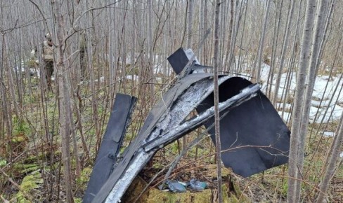 Мартовский дронопад: почему Прибалтика не смогла защитить свое небо