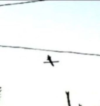 Первый известный снимок украинской крылатой ракеты, предположительно, "Фламинго" в полете