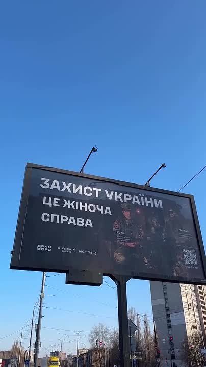 ���� ��������: ��� ���� ������ �������