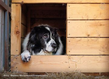 � ��������� ���� �������� ��������� �������������� ������ ������ ����� �������� �� ��������� �������� � 29 �����