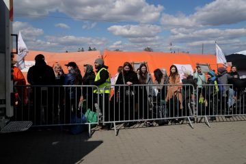 Почти 30 тысяч украинских мужчин запросили защиту у Норвегии