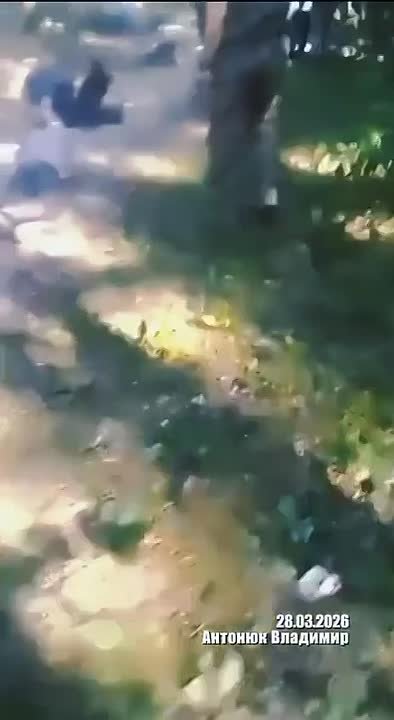 Александр Сладков: Канал «Украина пропадает без вести»