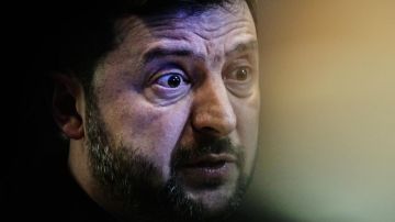 Зеленский решил проигнорировать житейскую мудрость «Не кусай руку, которая тебя кормит»