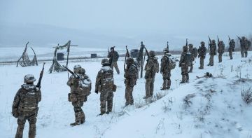 Боевики румынской группировки "Гетика" воюют за ВСУ, заявил посол