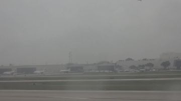 ����������� ���� ���� �� ���������� ������ ������