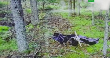 ������� ���������� ����� ���������� �� �������� � �������