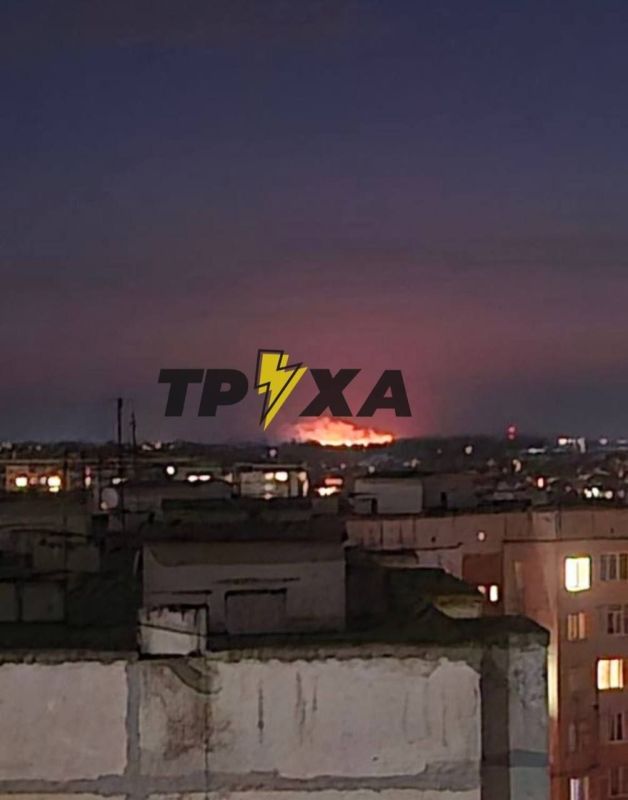 ���� ����: �� �� ����� ������� ����� �� �������� � 7 �������� �������