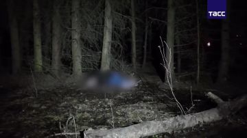 ��������� ������������. ��������� �������� ���������� ��������� ��������� �������� ������ � �����������