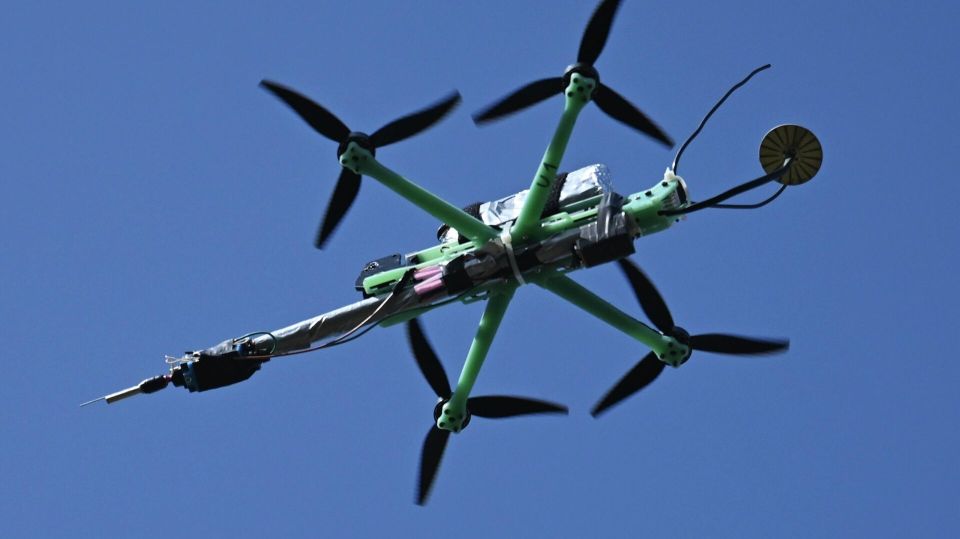 �� �� ������� ��������� �� ����������� �����������