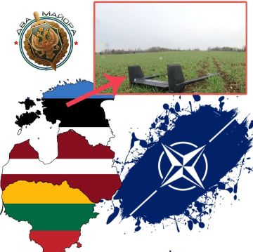 ��� ������: � ������� ���������� ������� ����������� �����