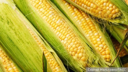 ����� � ���� ��� ����� ������� ���������� �������� � ������ � ���� ����