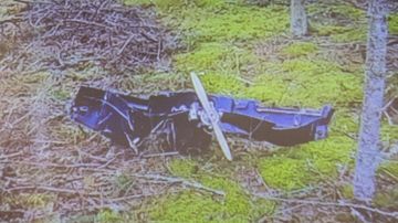 ����� ��������. ��� ��������� ������������� �� �������� � ����������� ��������������