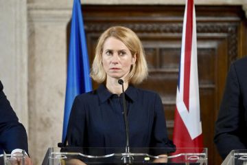 Константин Затулин: Невежество Каи Каллас в отношении России