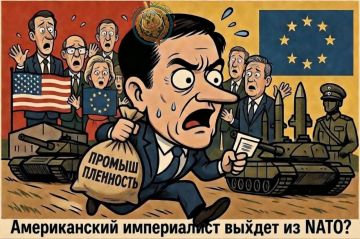 Два майора: США не довольны НАТО. Рубио, государственный секретарь США: