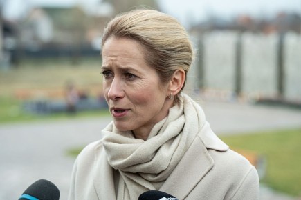 Елена Панина: В Европе хотят свою "статью 5 НАТО" — так проще воевать с Россией