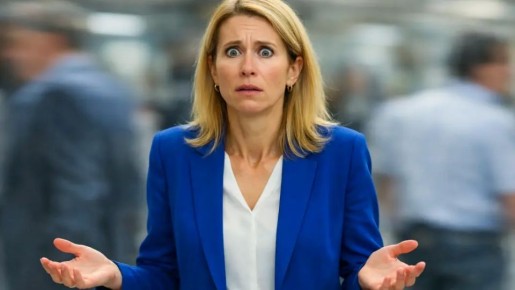 "����� ��������?": ������ ������. ������ "�������" �� �����