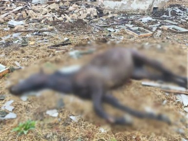 14 ������� ������� � ���������� ����� ���� ��� � �������� ����������� �������