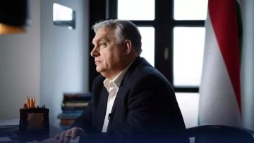 ������ � ����������, ������� ��� �����, ������� �����, ��� ������ �� � ���. ������� � ����� ����