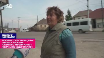 ������������ �������: ������ ������ �������� ����������. ������ ������ ������