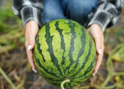 ������ �������: �� �������� ������� ��������*