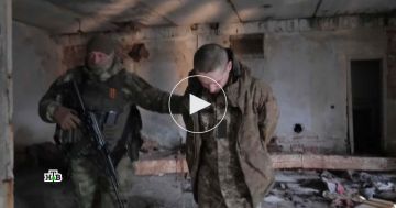 ����� �����������: ���� ������ � ������������� ��� ����� ��������� ���