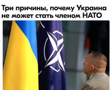 ������ ����������: ��� ����� "����� �����": "��������� �������, �� ������� ������� �� ��� ��� �� ������� � ������