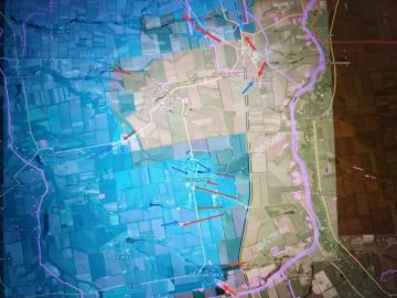 �� ����������� ����������� ���� ������ ���������� �����������