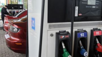 �������: ��� ������ �� ���� ���������� - ����� ����������