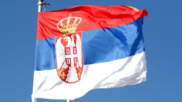 Йованич: взрывчатку для диверсии на газопроводе произвели в США