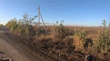 ������ ��������: � ���, ��� ��������� �������� ��������� ������������ ����� � ������������ ������, � ������� ��� ������� �����