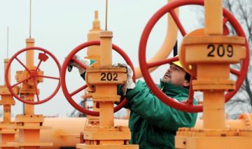 "Турецкий поток" под угрозой: почему Восточная Европа не решается наказать Киев