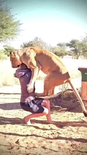 �������, � ��� ����� ��� �� ���������, ����� �� ������������� �����? ��������� ����, ����������! ������ � �����: 4.. 7.. �������, ��������� ����� �����������