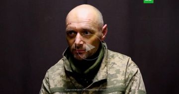 «Не хочу воевать за режим Зеленского»: пленный из ВСУ попросил его не обменивать