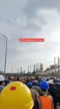 ���� ��������: ���� ������������ ������� ����� ����� �����