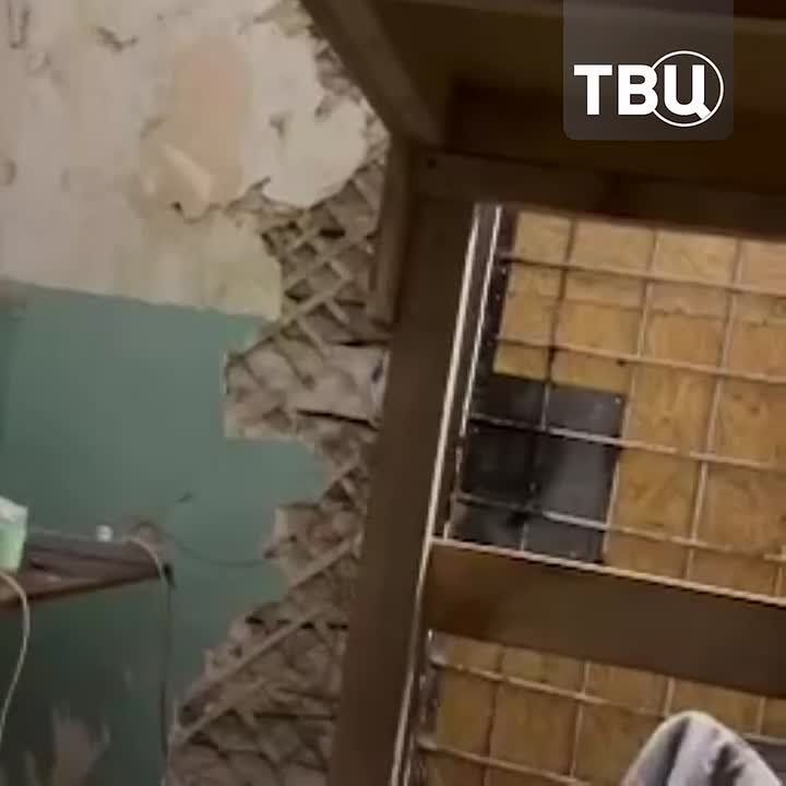 ��������������� ������ � ��������������� ������� � ��������� � ��� � ��������