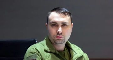 Украина продолжит удары по российской энергетике – Буданов*