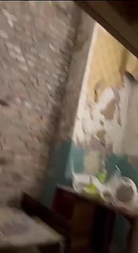 � ���� ��������� ����� �� ���������������� ������ �������������� � �������� ������������ �������