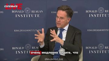 ��� ������������� ���������, ������ ������ ����