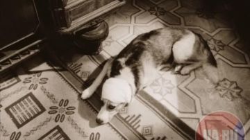 � ���� �� ��������, ��� ������� ������, ��� ������. �������� ����� ������� ���������� ���, ��� �� �� ������ ����. � �����, ��� � ��� ������� ���������, � ���������