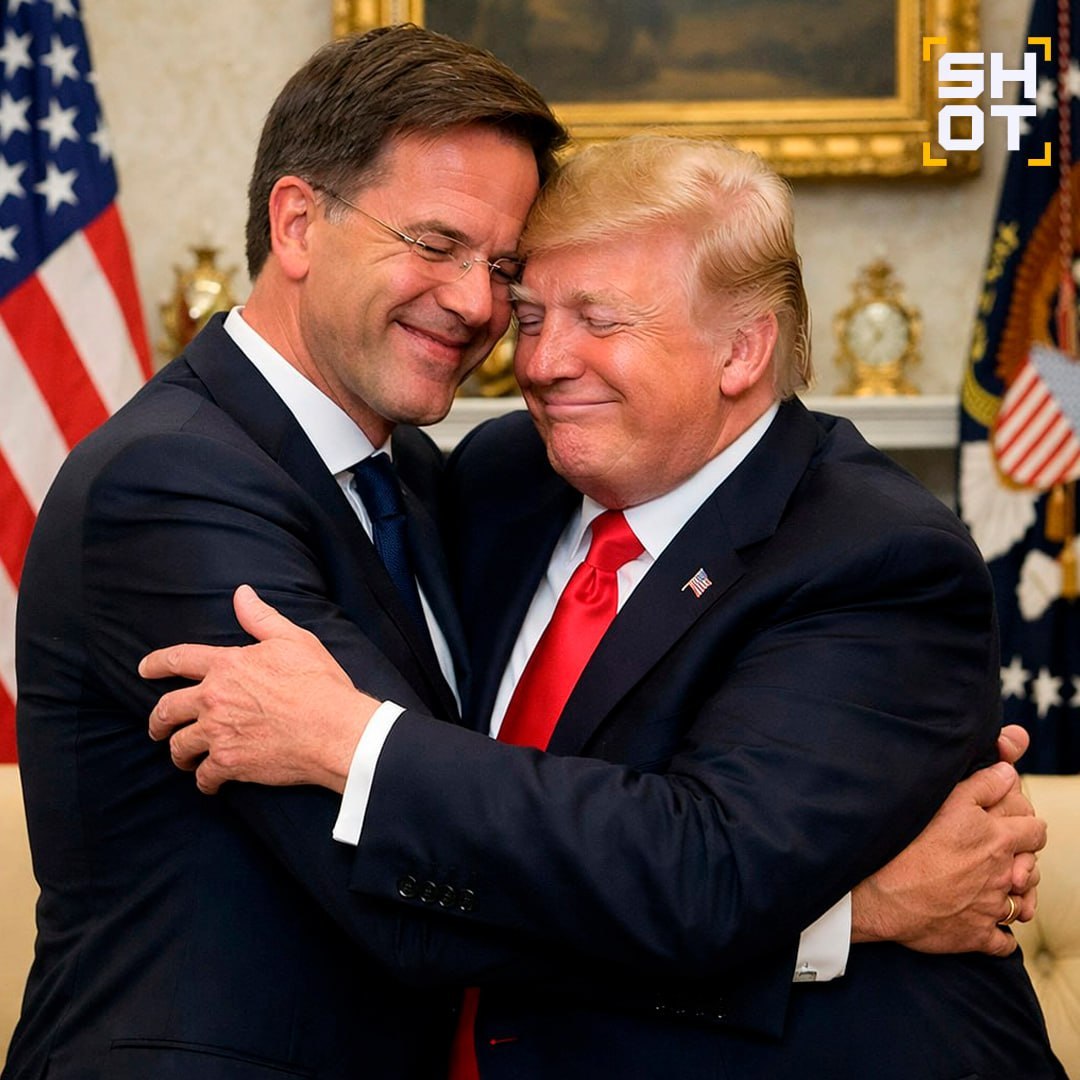 Считает ли генсек НАТО президента США Трампа своим «папочкой»? Рютте заявил, что страны Североатлантического альянса не ждут Украину в своём составе