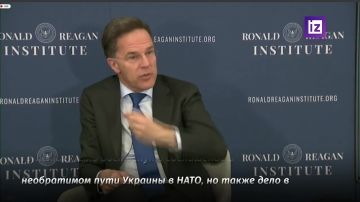 ������ � ���������� ������� � ���� ������ �� �����������, �������� �� ������� �������������� �������, ������ ������ ���� ���� �����