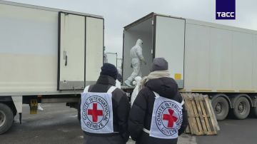 ����� ������ ������ ����� ������� � ��������