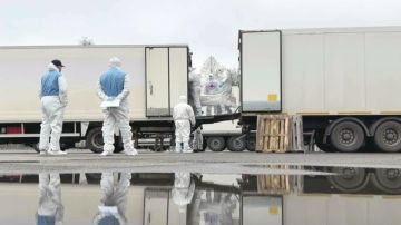 1000 �� 41: ������ � ������� ������� ����� ������ ��������