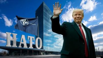 "Турция и Израиль столкнутся в Сирии": Так вот зачем Трампу нужен выход из НАТО