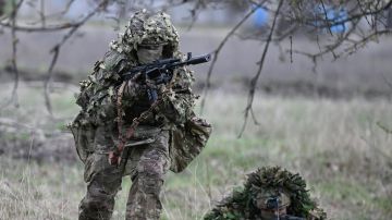 Сумская область: Миропольское освобождено, попытка переброски резервов ВСУ провалилась