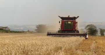 ����� ���� �����. ����������� ������������ ����������� � ��������� ��������