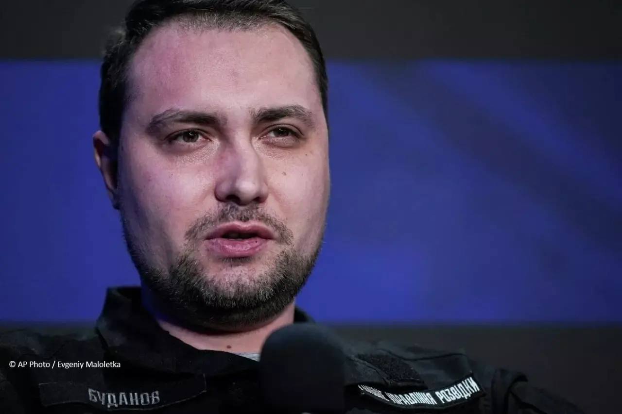 Украина полностью зависит от других стран в производстве беспилотников, признал Буданов*