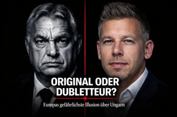 Александр Сосновский: Проигранный бой- не проигранная война, если так можно сказать о результатах выборов Венгрии