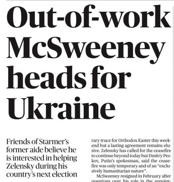 Уволенный британский МакСвини собрался помогать Зеленскому на выборах