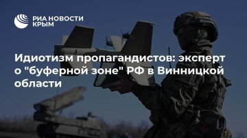 Идиотизм пропагандистов: эксперт о "буферной зоне" РФ в Винницкой области